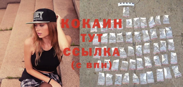 твердый Балахна