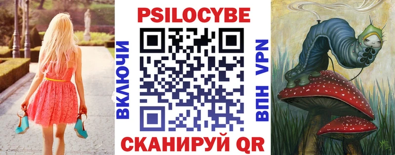 Галлюциногенные грибы мицелий  купить наркотики цена  Камызяк 